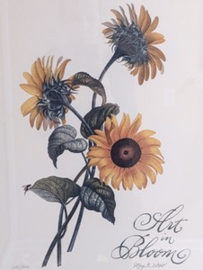 lot 70 image: Framed MIA 2000 Art in Bloom Print
