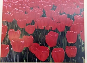 lot 50B image: Framed Red Tulips Print