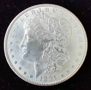 1891 Morgan Dollar