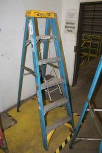 lot 303 image: Werner 6 Non-Conductive Fiberglass Rails Step Ladder 6006