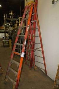 lot 313 image: Werner 10 Step Ladder