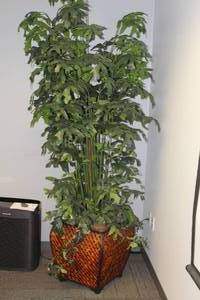 lot 1162 image: Lot of (2) Faux Plants