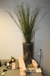 lot 1163 image: Lot of (2) Faux Plants