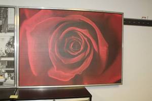 lot 1177 image: Rose Framed Wall Art