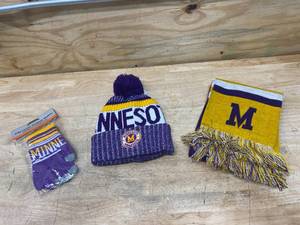MINNESOTA Winter Gear (winter hat, smartphone friendly gloves and scarf) (Vikings colors)