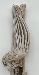 lot 25 image: Beautiful Natural Dried Saguaro Cactus Wall Hanging