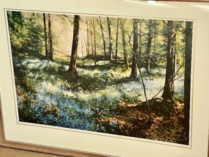 lot 10 image: Framed Print by Brigitte Kozma entitled Quiet Places IV