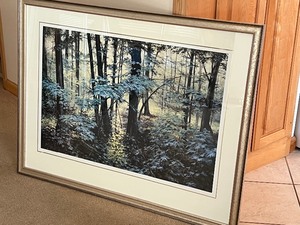 lot 9 image: Framed Print by Brigitte Kozma entitled Quiet Places III