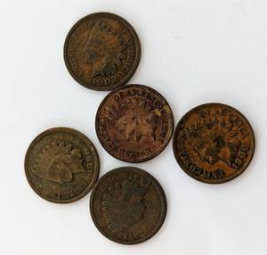 lot 221 image: Assorted Indian Head Pennies