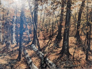 lot 245 image: Framed Scenic Print by Kozma