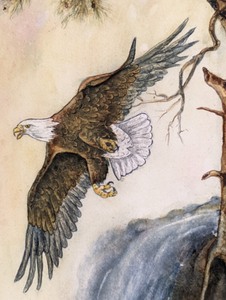 lot 311 image: Framed Eagle Watercolor Painting by Phyllis Frankun