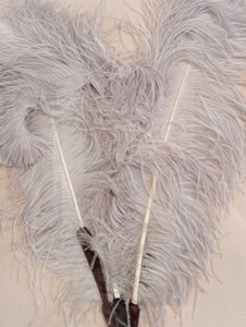 lot 12 image: Fantastic Framed Vintage Feather Fan