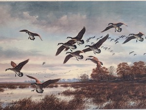 lot 336 image: Framed Scenic Wildlife Print by David Maass