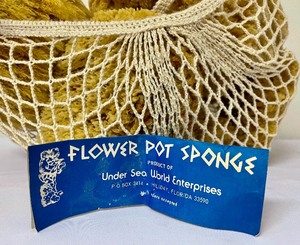 lot 144 image: Bag of Natural Sponges