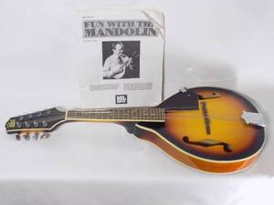 lot 52 image: Rogue Mandolin & Instruction Book