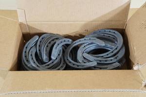 40 Diamond Classic Plain Size 0 Horseshoes