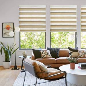 (2) LazBlinds Dual Layer Zebra Roller Blinds & Shades, 90% Light Blocking Sheer Shades Horizontal Window Blinds for Day and nite
