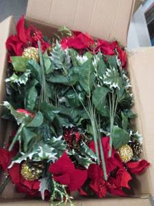 box of poinsettia mix bush ...