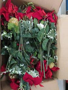 box of poinsettia mix bush ...