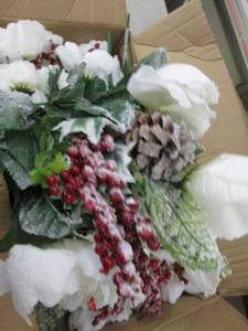 box of peony frosted bush ...