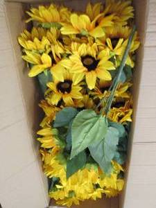 box of sunflower bushes ...