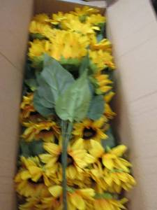 box of sunflower bushes ...