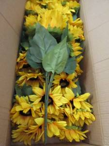 box of sunflower bushes ...