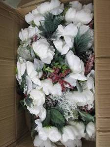 box of frosted peony bushs ...