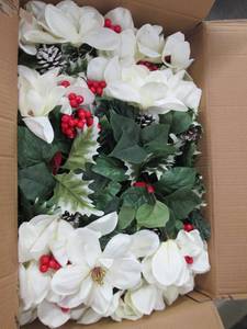 box of white magnolia bushes ...
