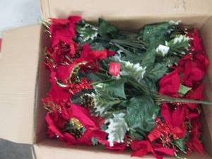 box of red poinsettia mix bush ...