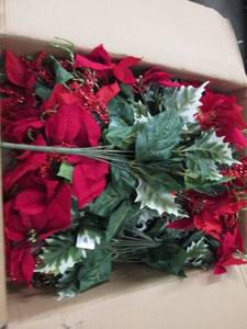 box of red poinsettia mix bush ...
