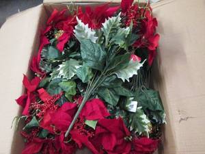 box of red poinsettia mix bush...