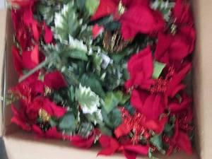 box of red poinsettia mix bush...