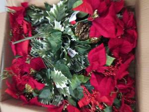 box of red poinsettia mix bush...