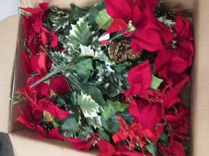 box of red poinsettia mix bush...