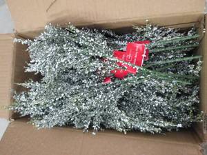 box of cedar berry picks ...