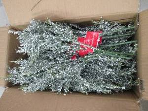 box of cedar berry picks...