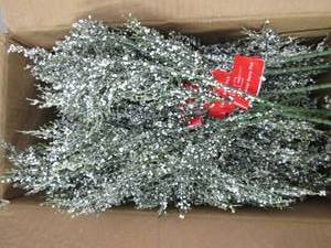 box of cedar berry picks...