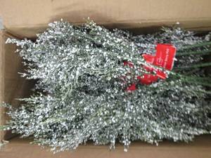 box of cedar berry picks...