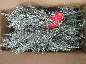 box of cedar berry picks...