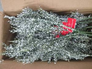 box of cedar berry picks...