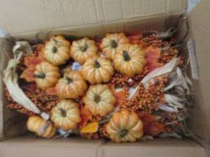 box of mixed pumpkin picks ...