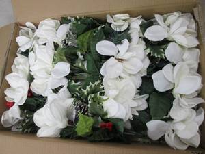 box of white magnolia bushes ...