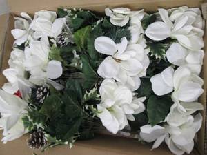 box of white magnolia bushes...