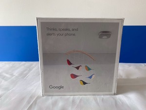 GOGGLE NEST PROTECT