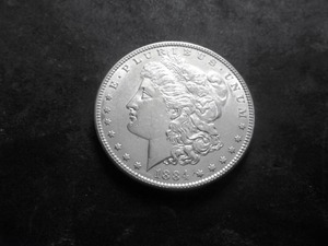 1884 Morgan Silver Dollar