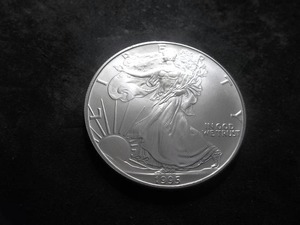 1995 Silver Eagle 1 Oz. .999 Fine