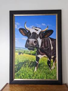 lot 22 image: Its in the Milk - Framed Photograph Print