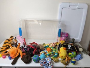 lot 84 image: Fur Family Lot Dog Clothes, Toys, Clothes, Diapers and More