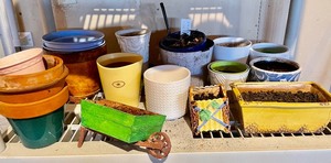 lot 275 image: Lot of Pots and Planters